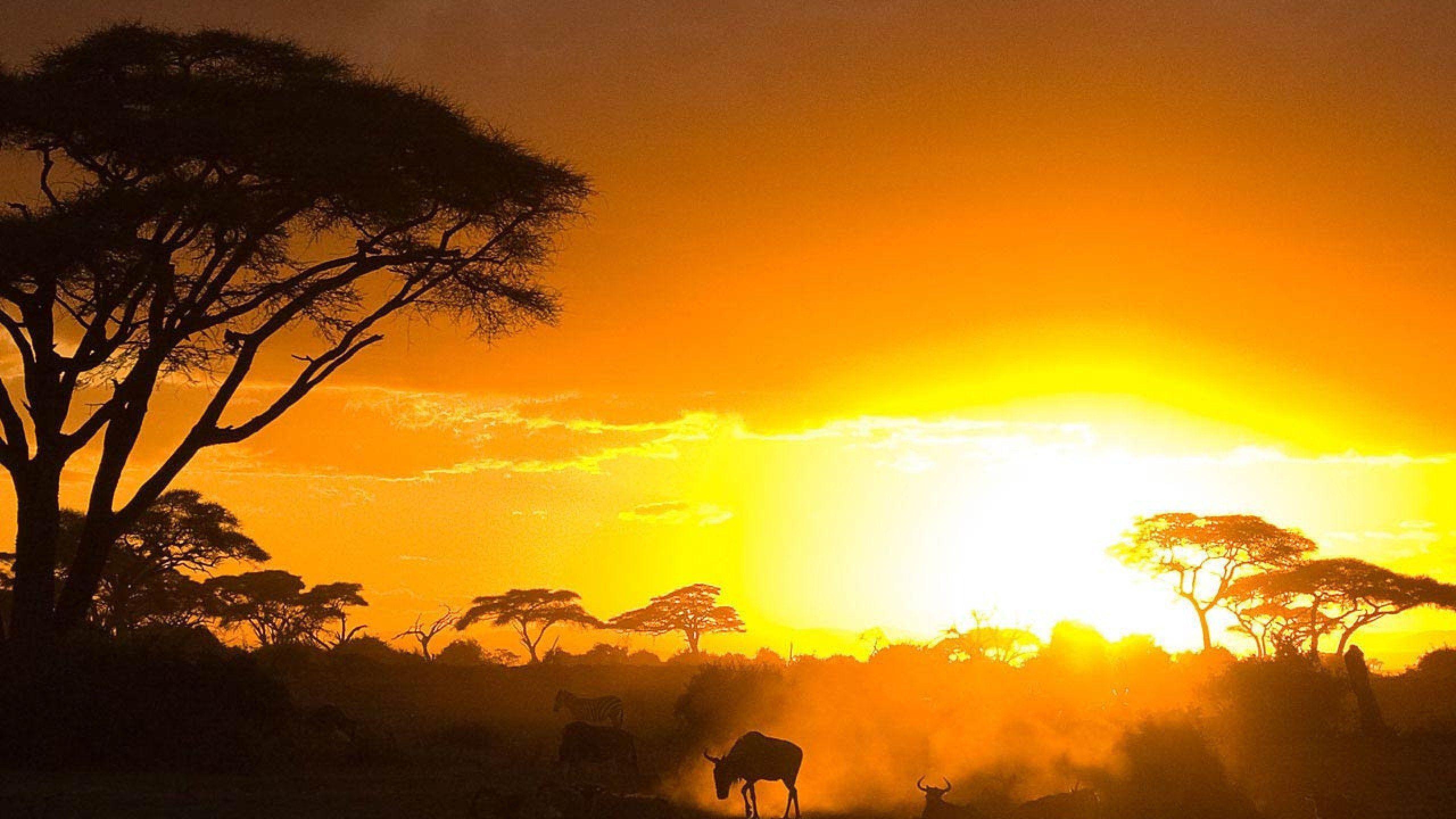 ケニアの夕日, 壁紙, 美しい景色, 旅行