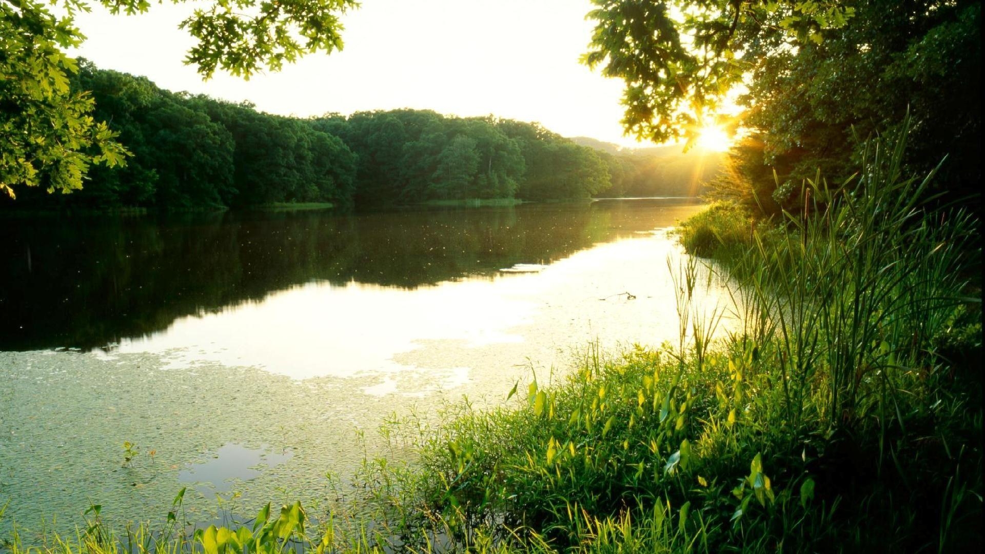 インディアナの森, 湖の夕日, 壁紙, 風景