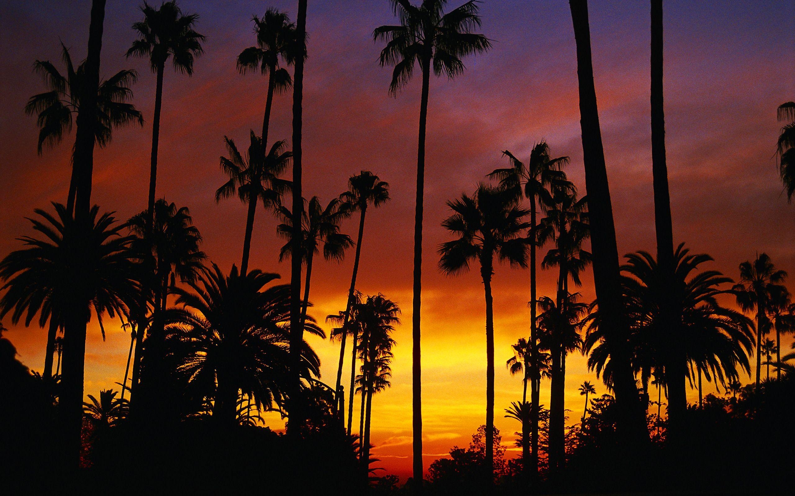 カリフォルニア背景, コレクション, 風景画像, 旅行気分