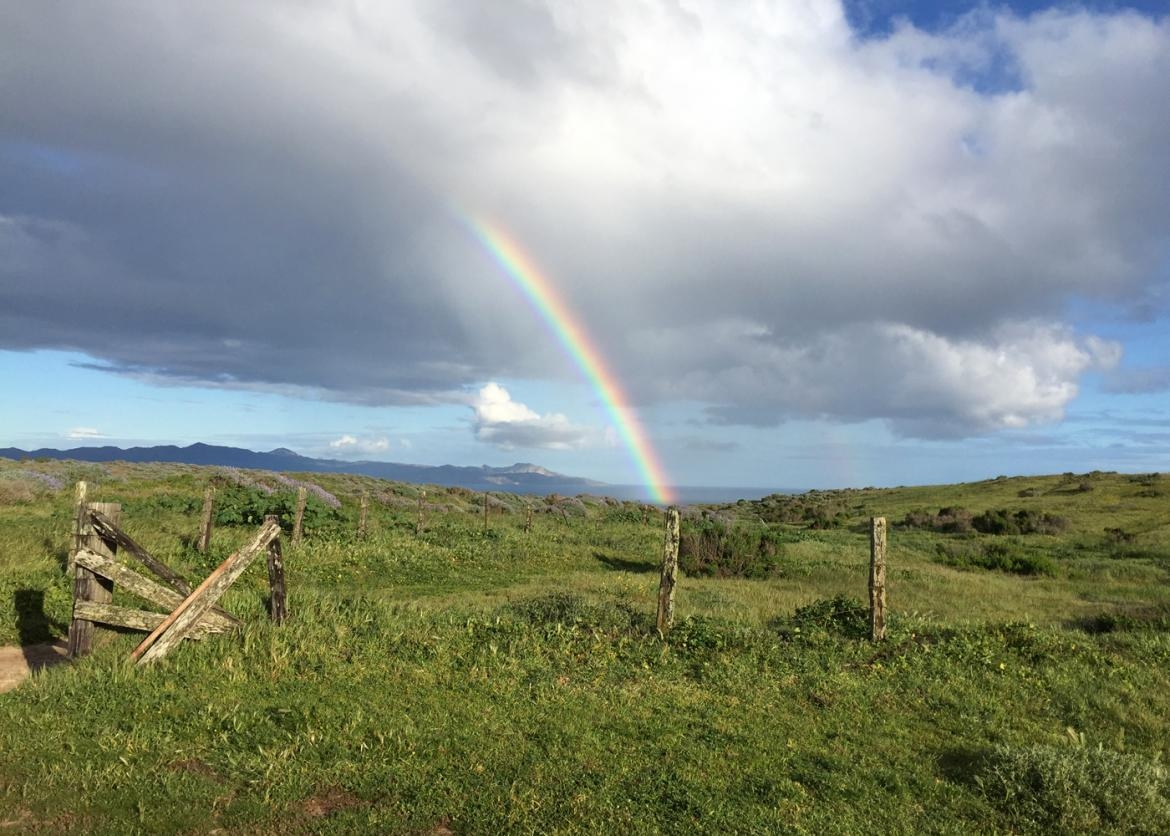 チャンネル諸島国立公園, ボランティア, バケーション, カリフォルニア旅行