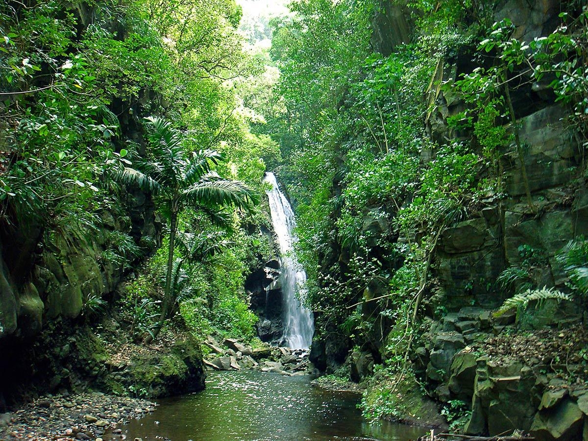 ベールの滝, 自然, セントビンセント, 風景