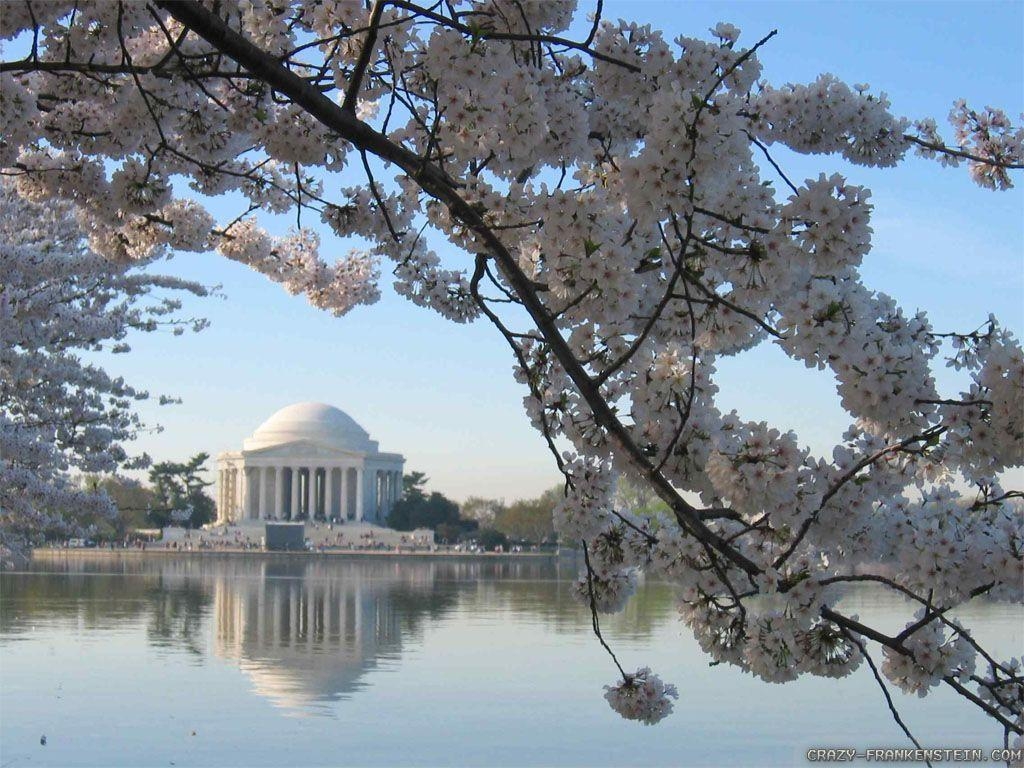 ワシントンD.C., 壁紙, 美麗画像, 旅行