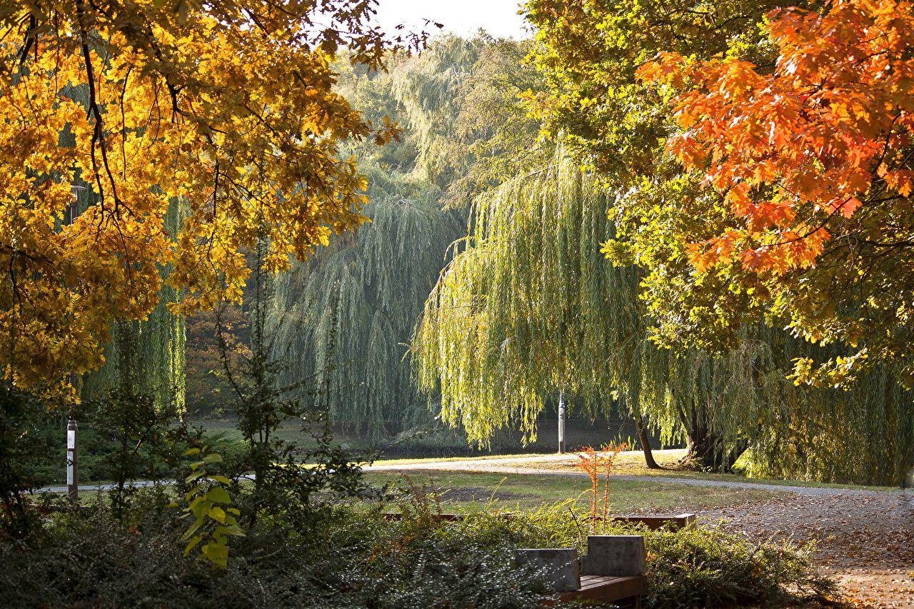 デブレツェン, ハンガリー, 秋景色, 自然公園