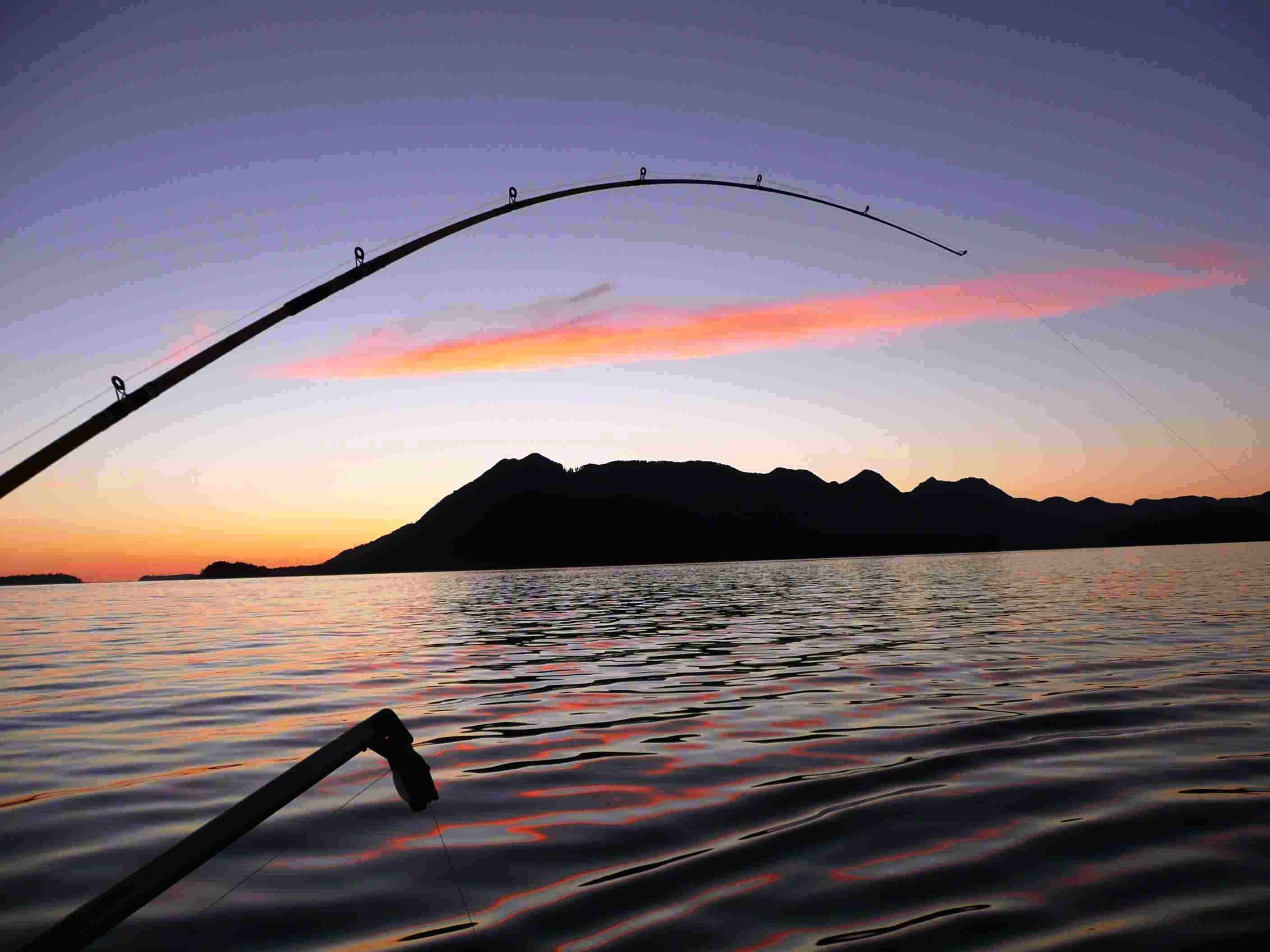 釣り, HD壁紙, スポーツ, 釣りの風景