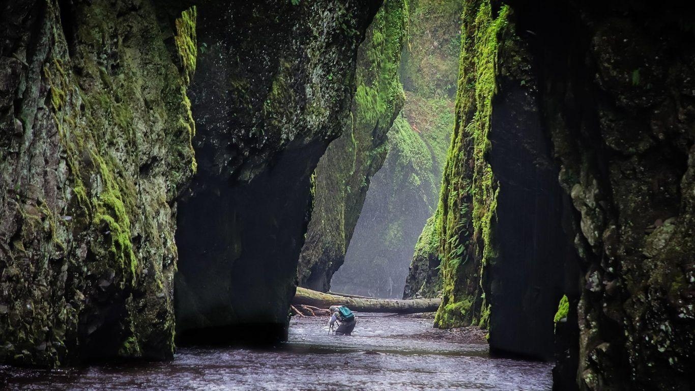 風景, 草地, ベルファスト, 美しい自然