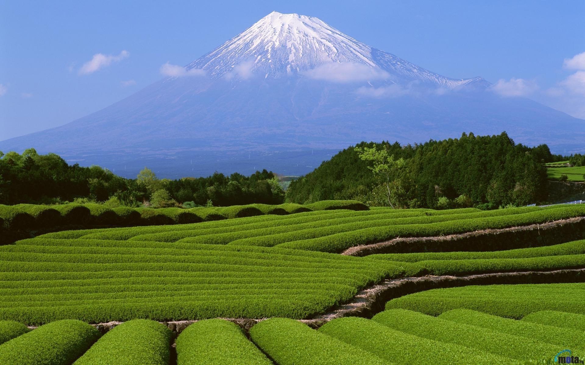 富士山, 背景, PC壁紙, 日本