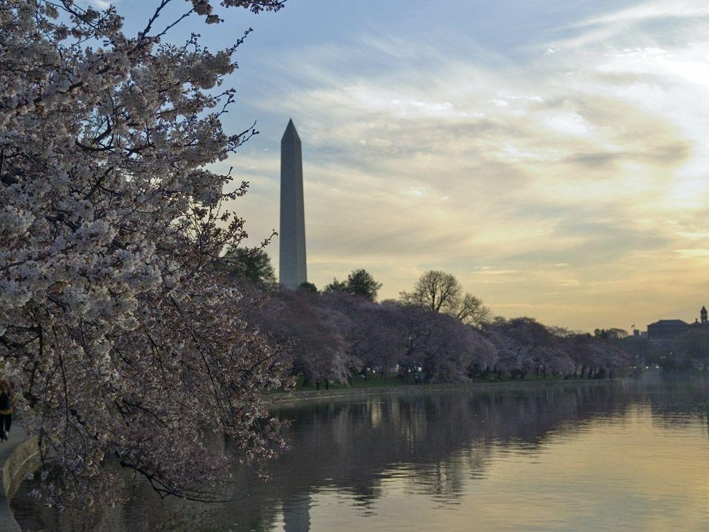 ワシントンD.C., 壁紙, トラベル, 都市景観