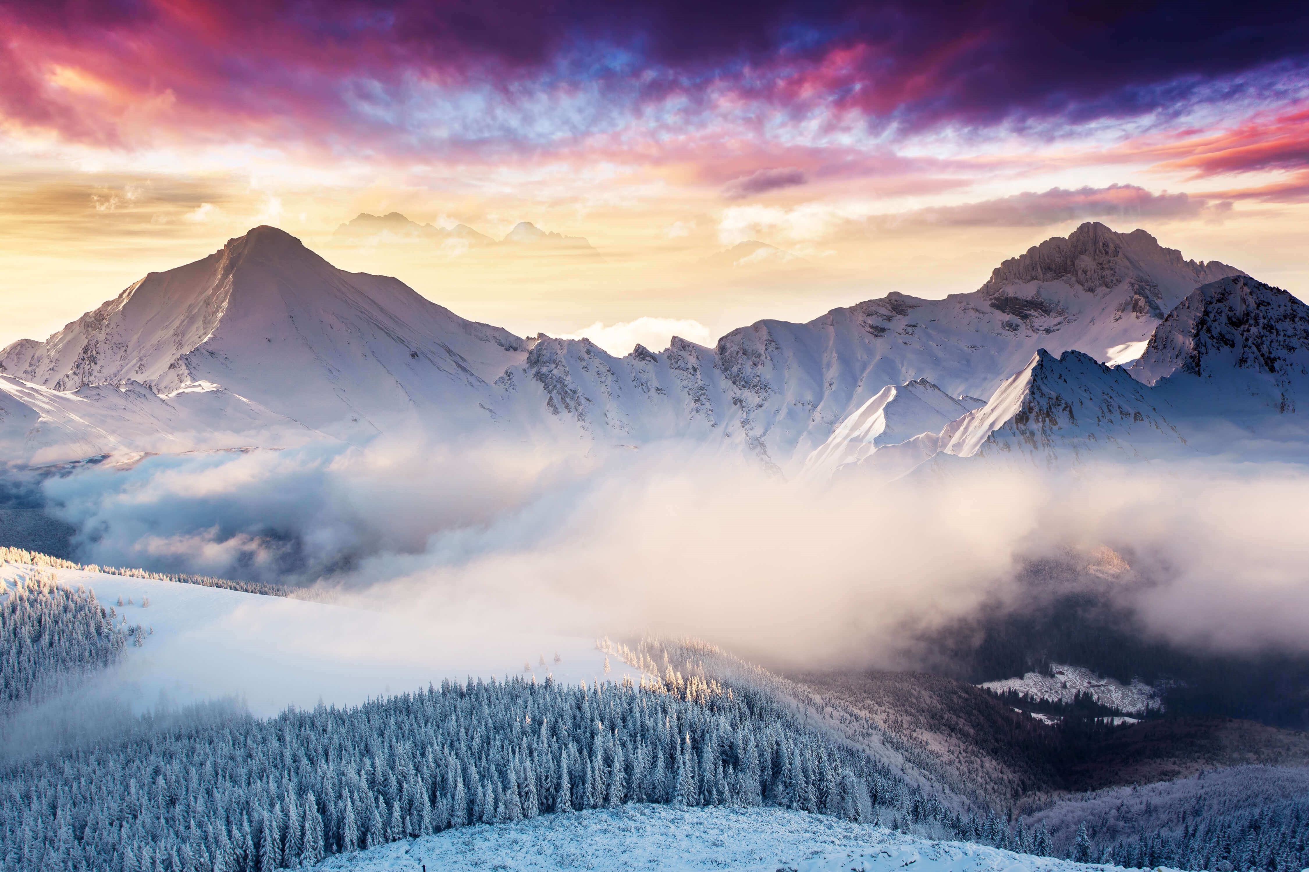 冬の山, 森の景色, 雲, マイクロソフト背景