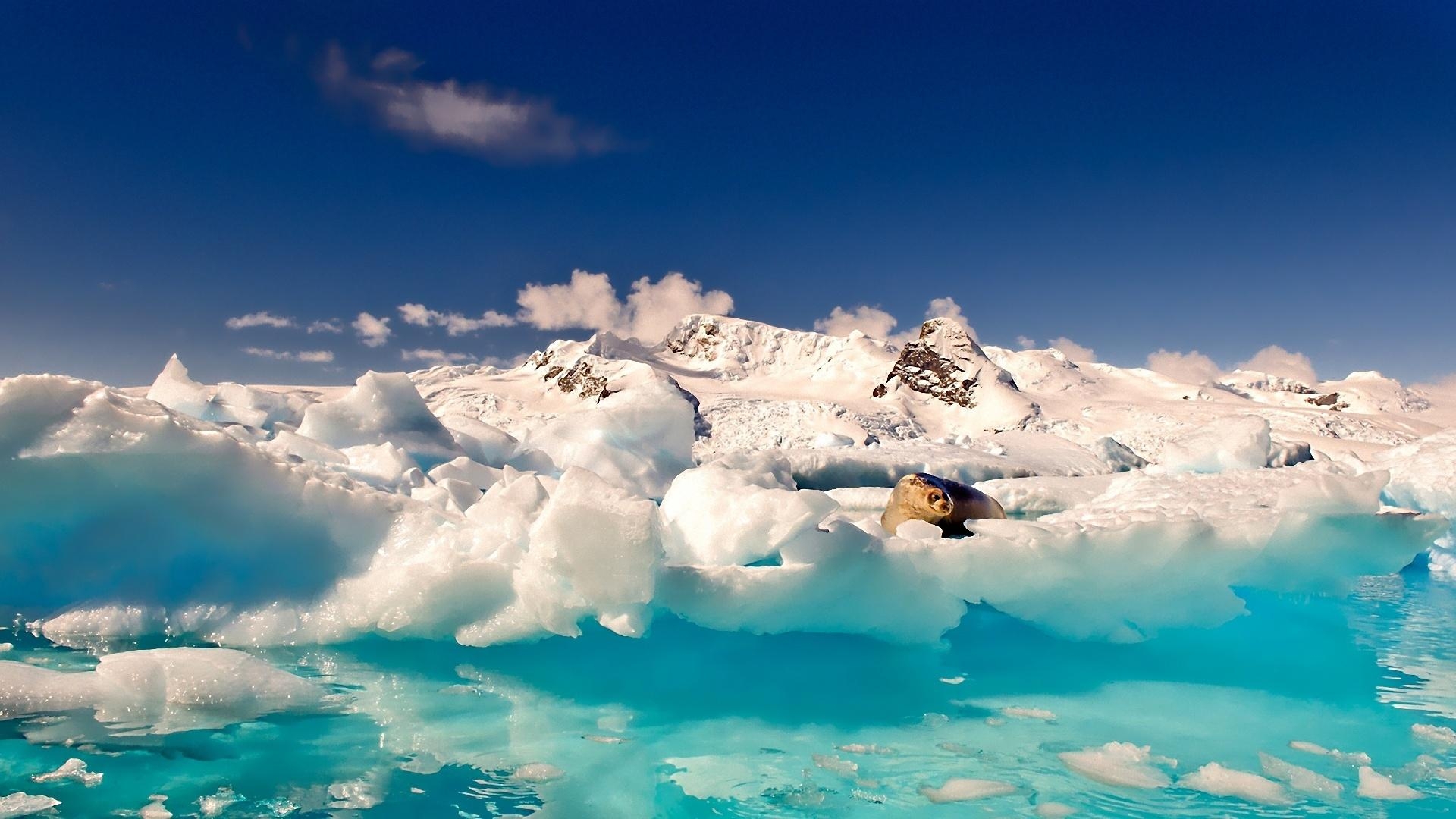 北極氷、壁紙、絶景、旅行