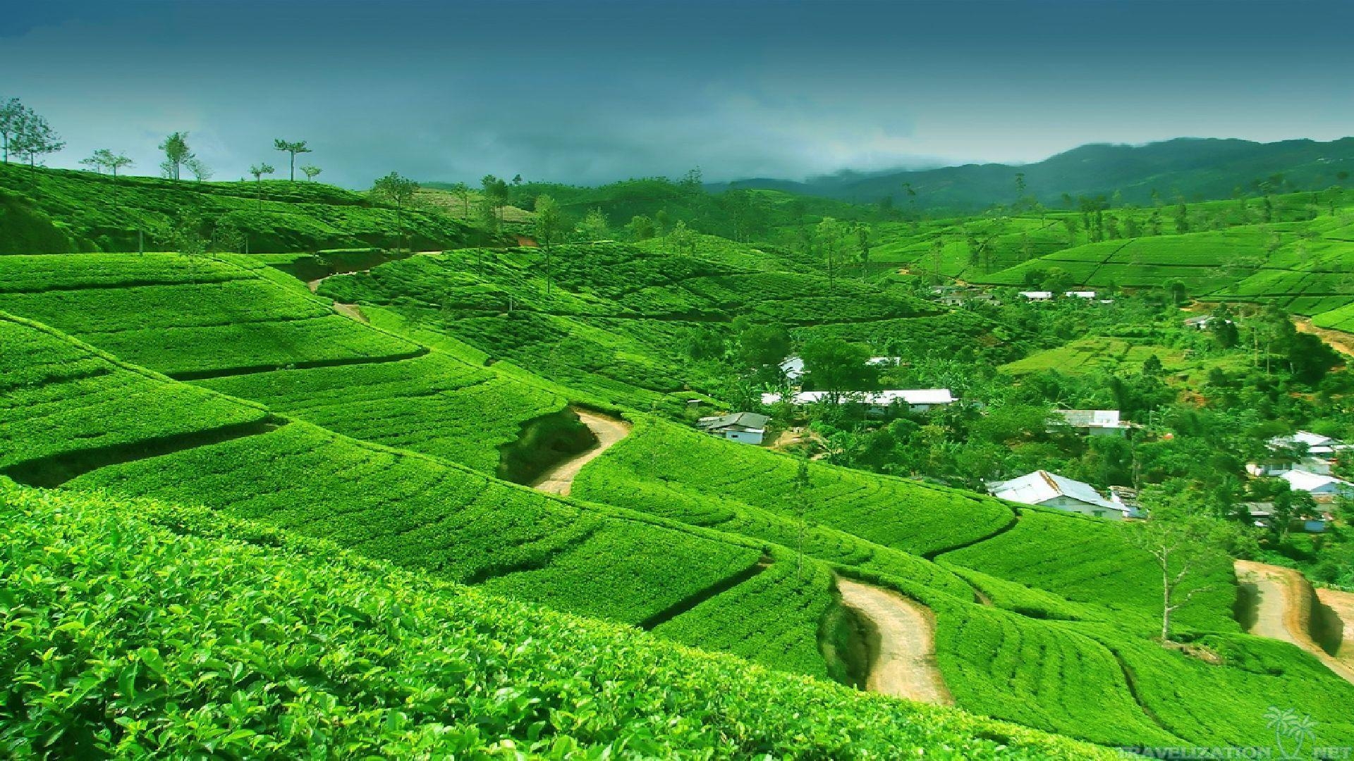 美しい風景, スリランカ, 景観写真, 旅行