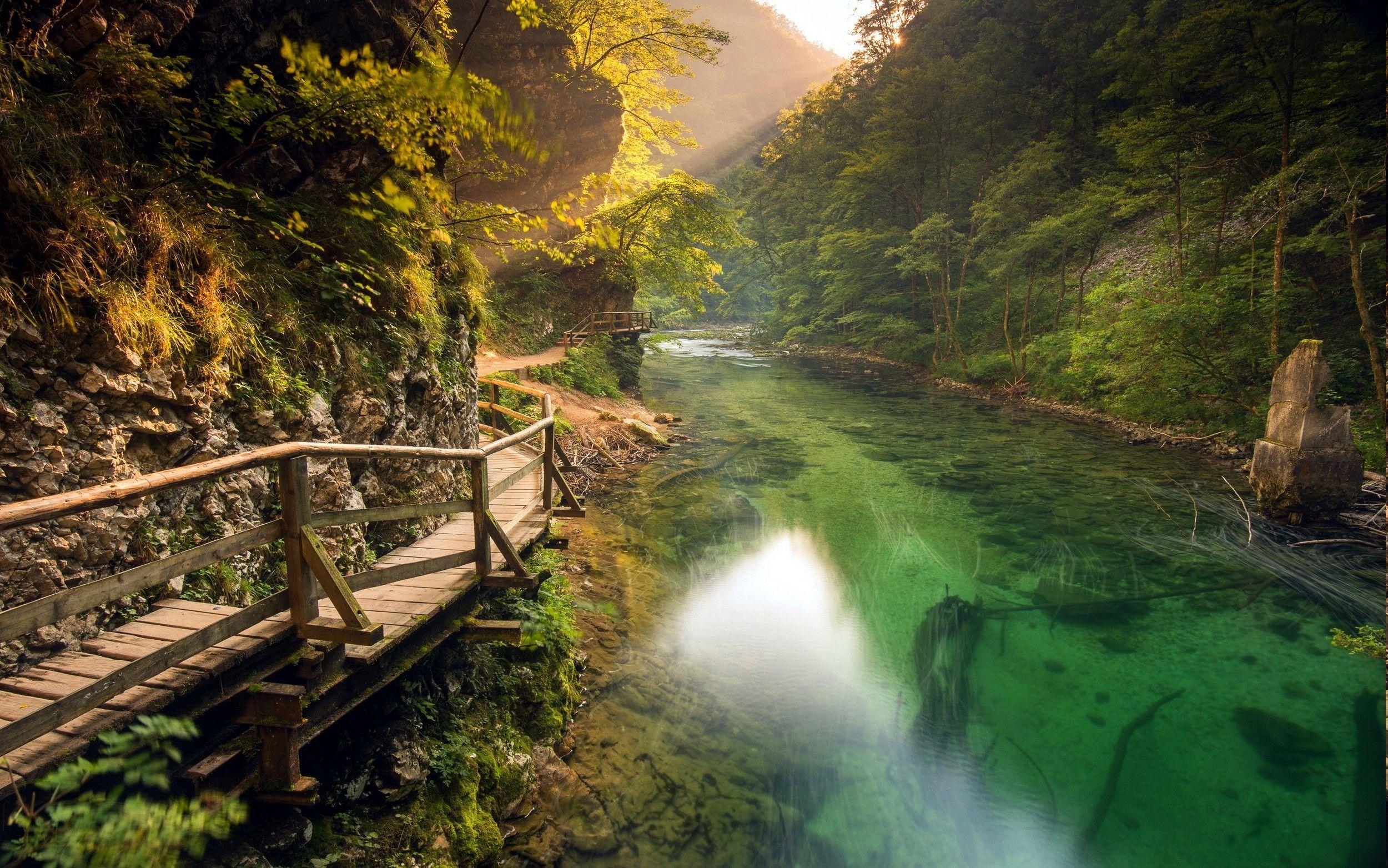 自然、風景、川、山道