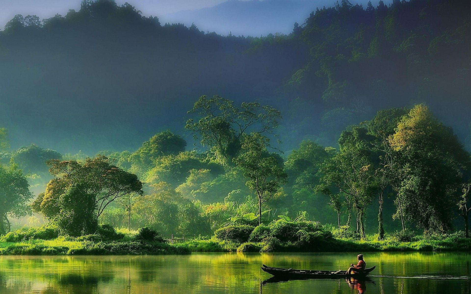 自然風景, 朝霧, 森林, 河川