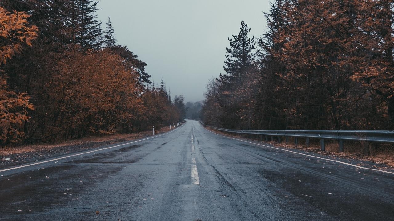 道路標識, 木々, 曇った天気, HD壁紙