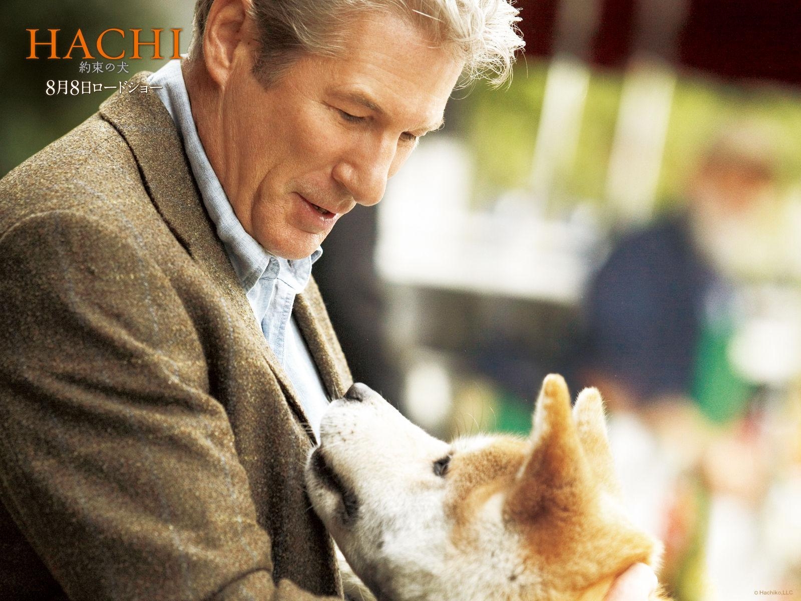 秋田犬, ハチ公, 映画, リチャード・ギア, 壁紙