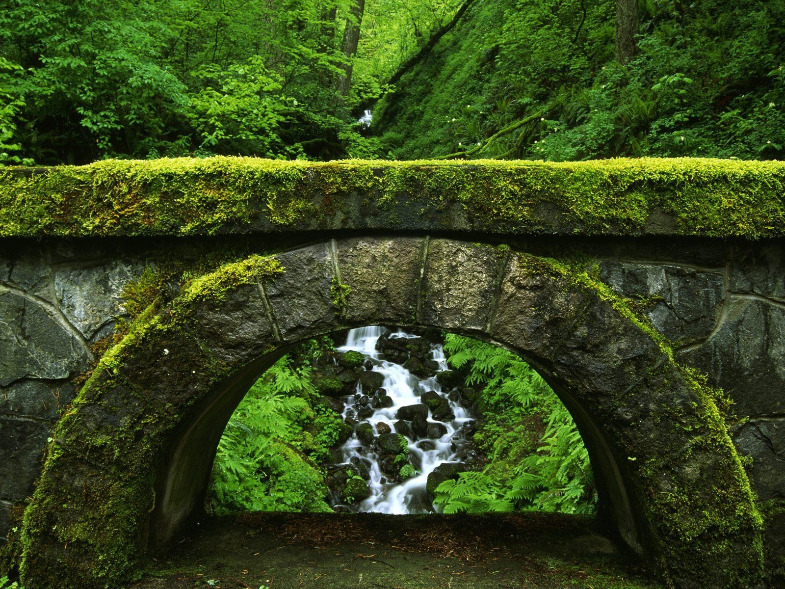 オレゴン, HDデスクトップ背景, 写真, 大自然