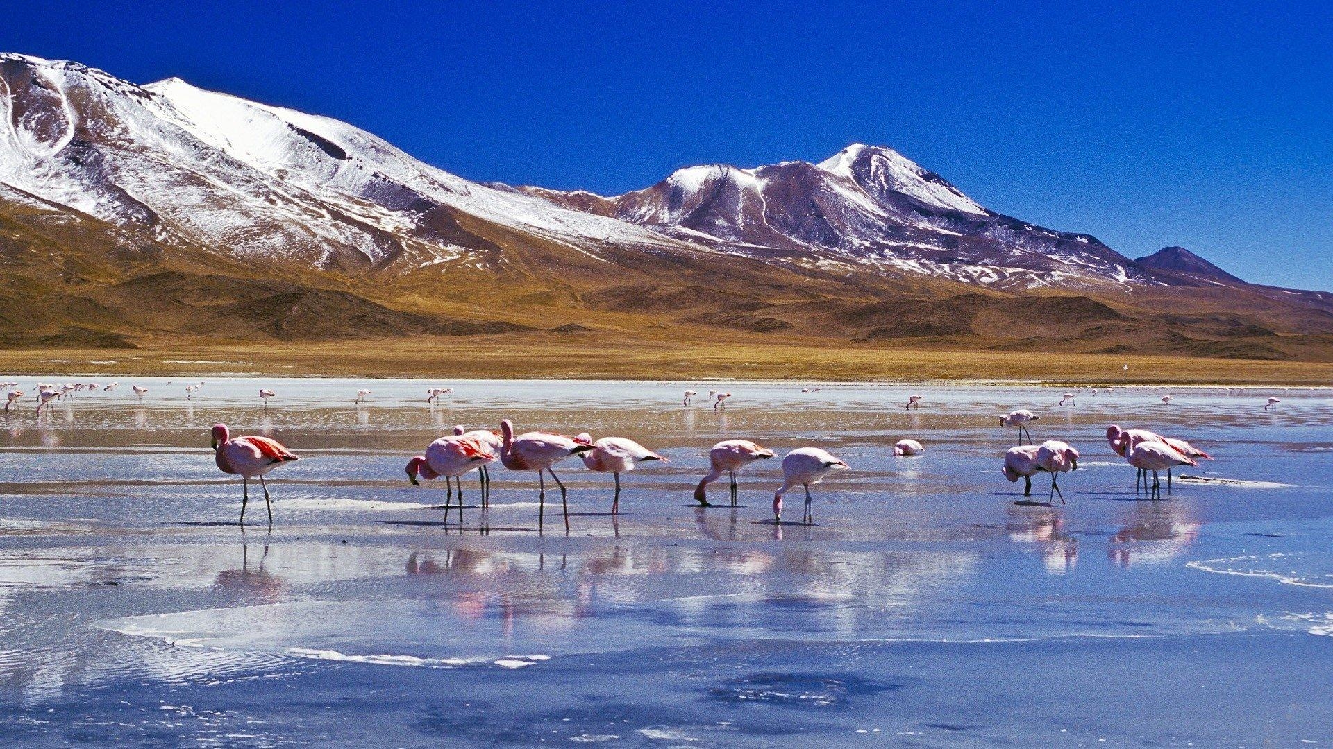 ウユニ塩湖, サル湖, HD壁紙, 大自然