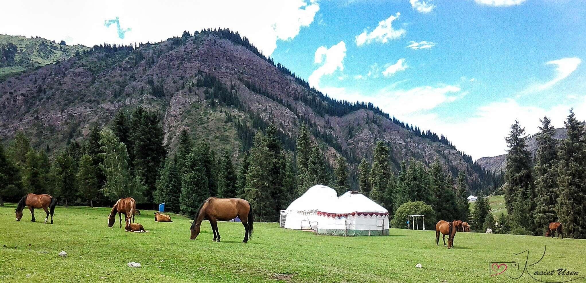 キルギス, 風景, 背景画像, 旅行写真