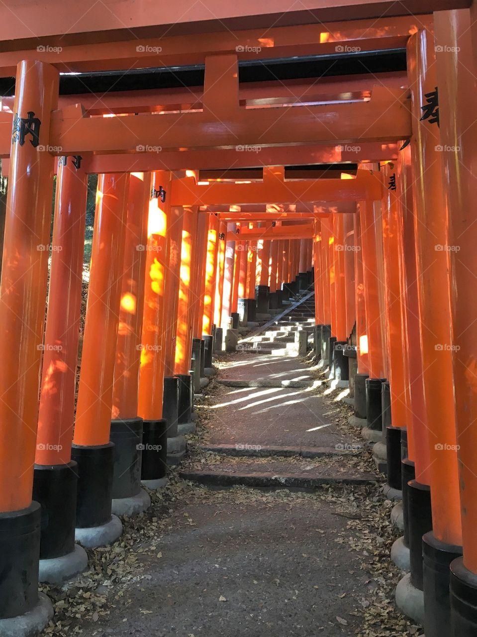 伏見稲荷大社, 京都, フォープ, 神社