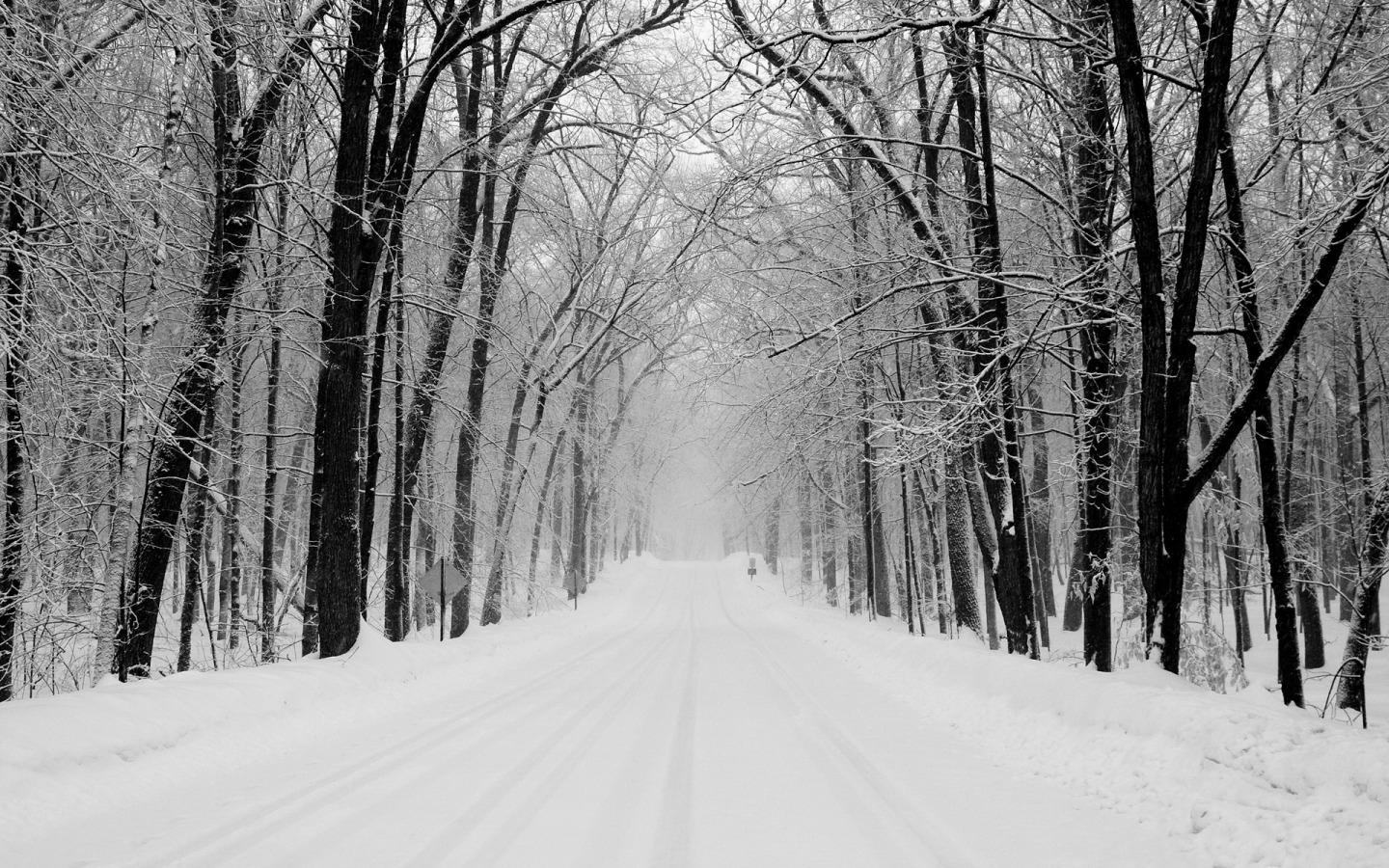 ウィンターワンダーランド, ステビンズクチュール, 冬景色, 雪