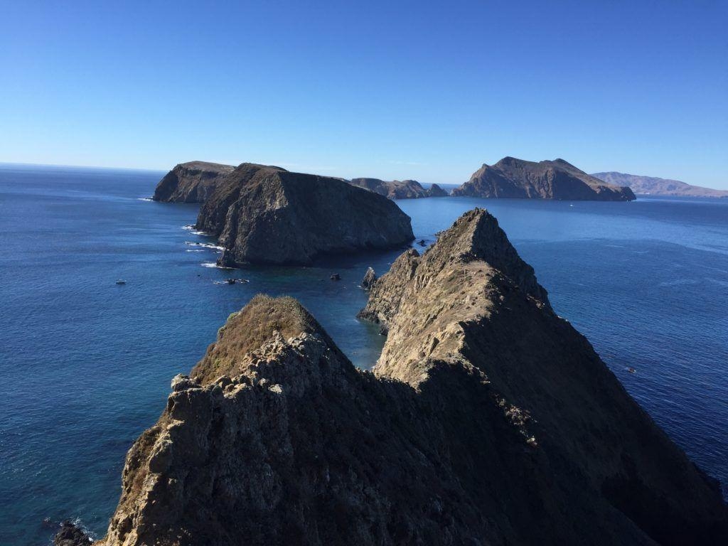 ボランティア、チャンネル諸島、国立公園、活動の様子