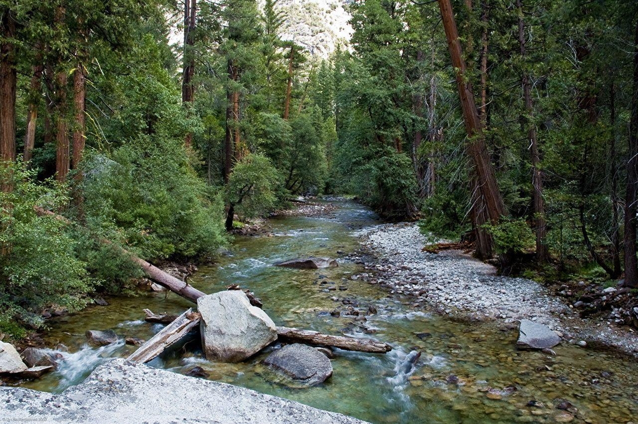 キングスキャニオン国立公園, アメリカ, カリフォルニア, 自然公園, 風景