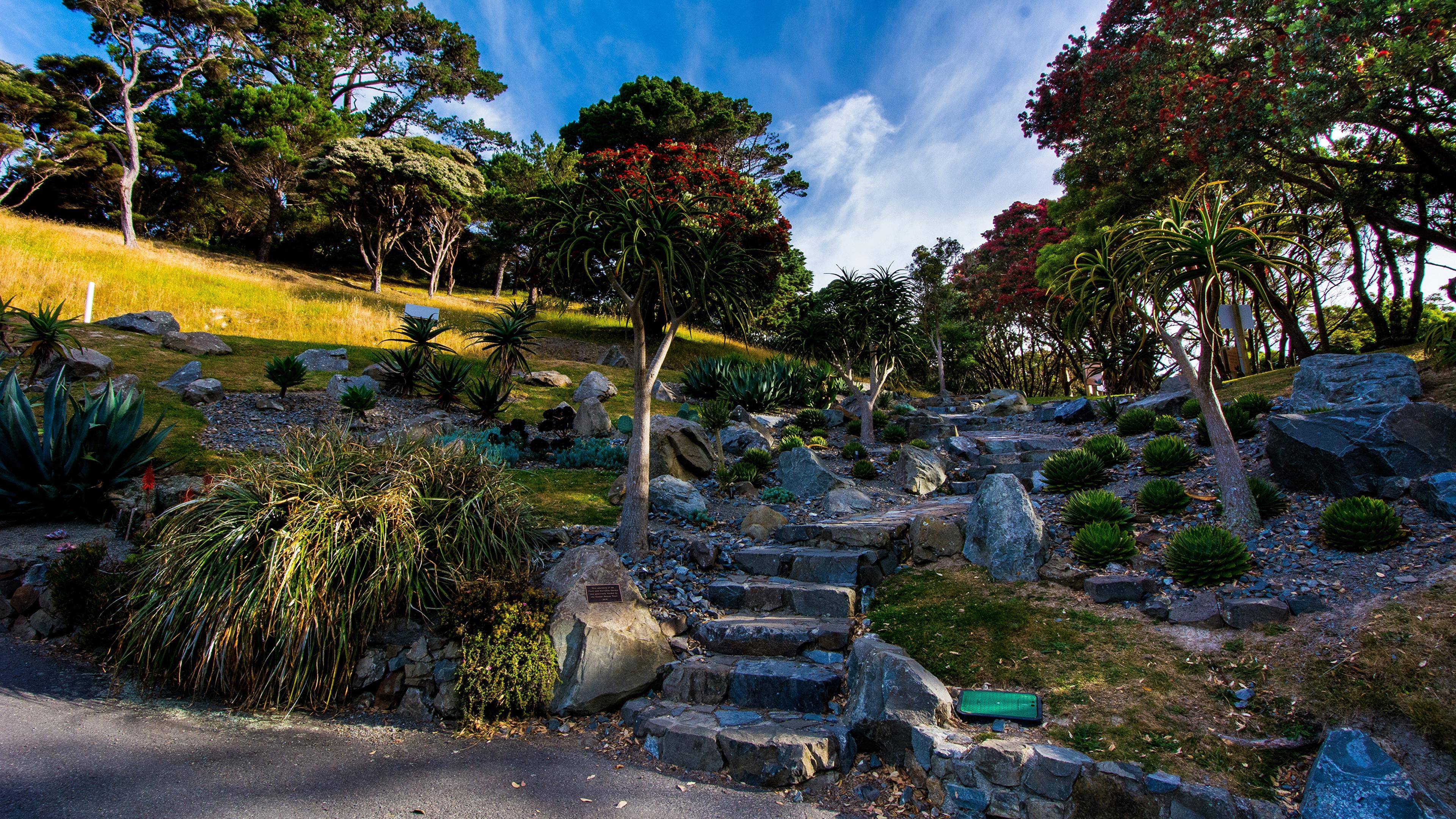 画像, ニュージーランド, ウェリントン, 植物園, 自然