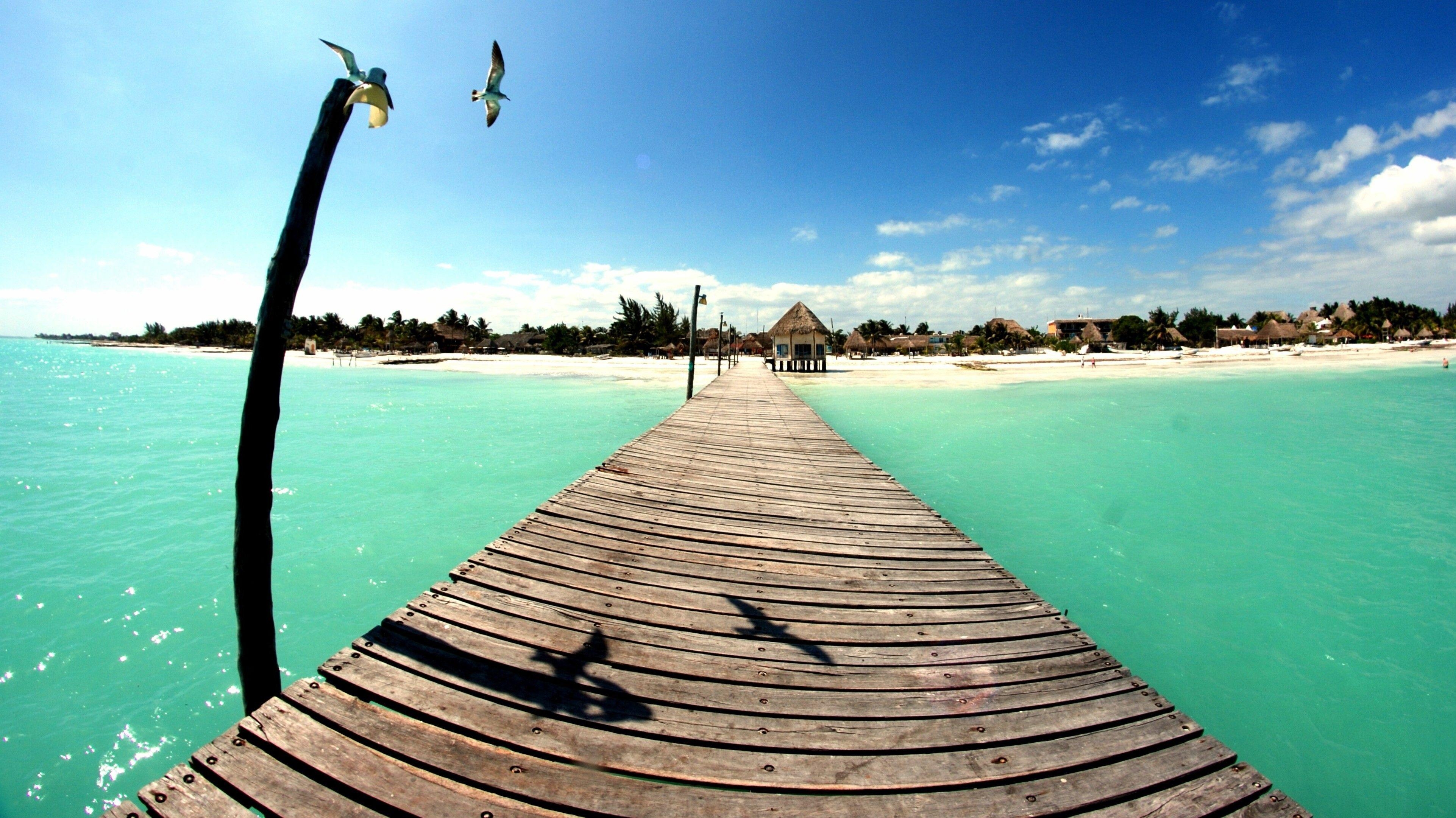 メキシコ, 風景, 鳥, 海, 壁紙