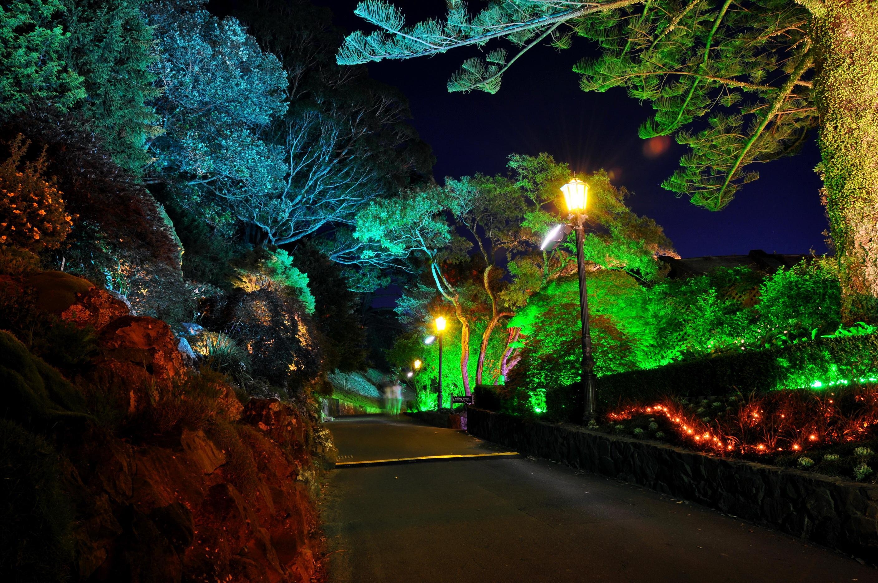 ウェリントン, 植物園, 夜, 街路灯, ニュージーランドの道