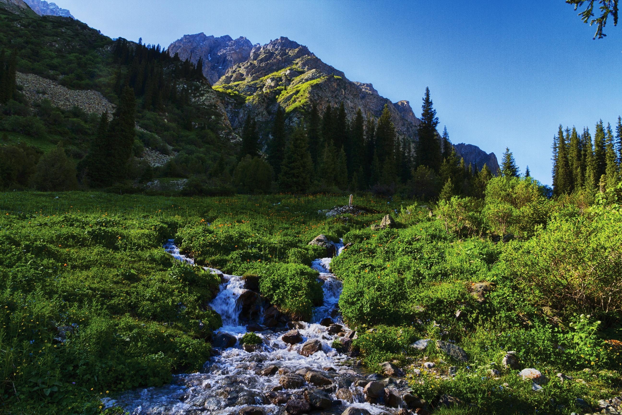 天山山脈, 渓流, キルギス, 自然の風景